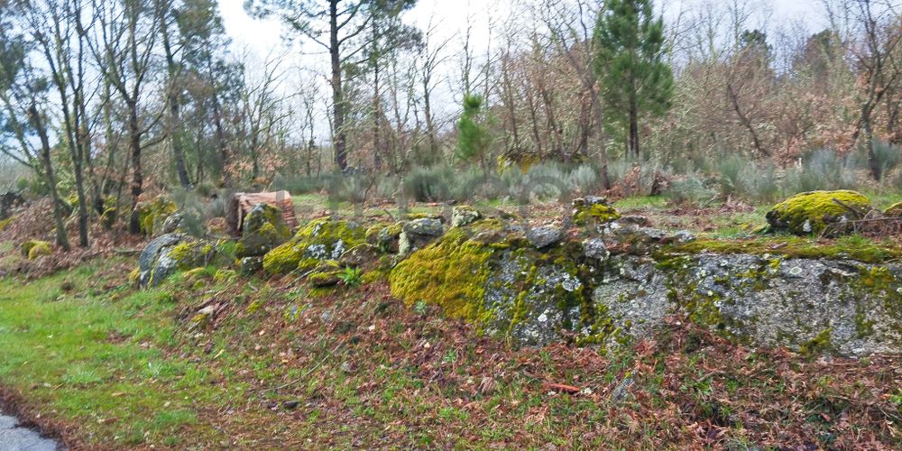 Terreno com 7.080 m² · Aldeia Velha, Sabugal