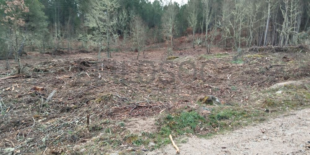 Terreno com 4.980 m² · Aldeia Velha, Sabugal