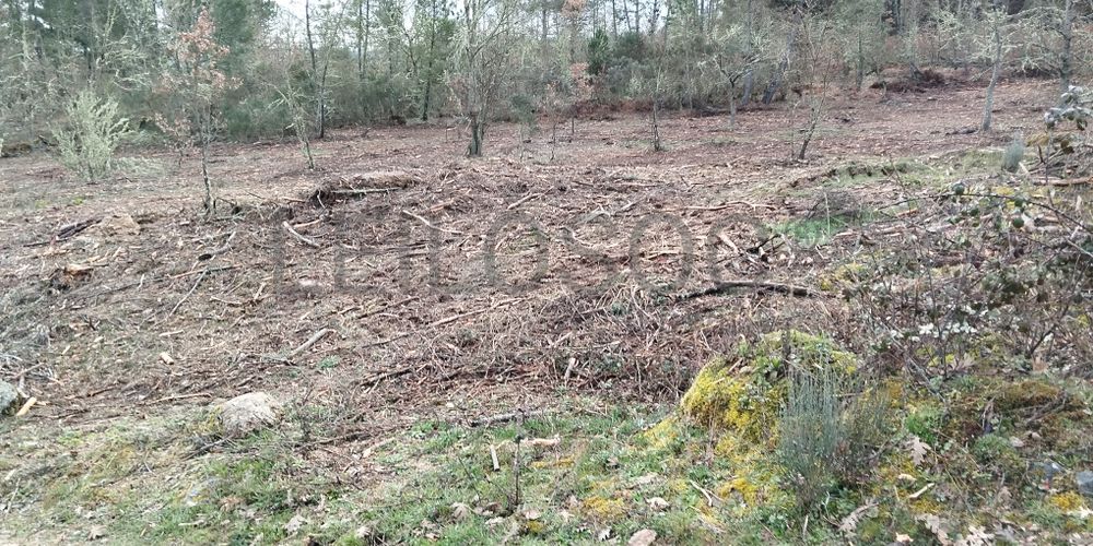 Terreno com 4.980 m² · Aldeia Velha, Sabugal 4