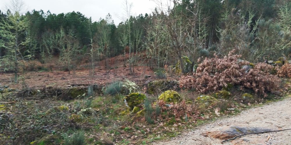 Terreno com 4.980 m² · Aldeia Velha, Sabugal 3