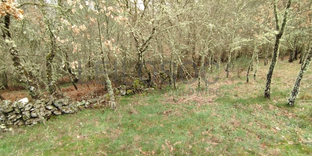 Proporção de 1/2 de Terreno · Aldeia Velha, Sabugal 3