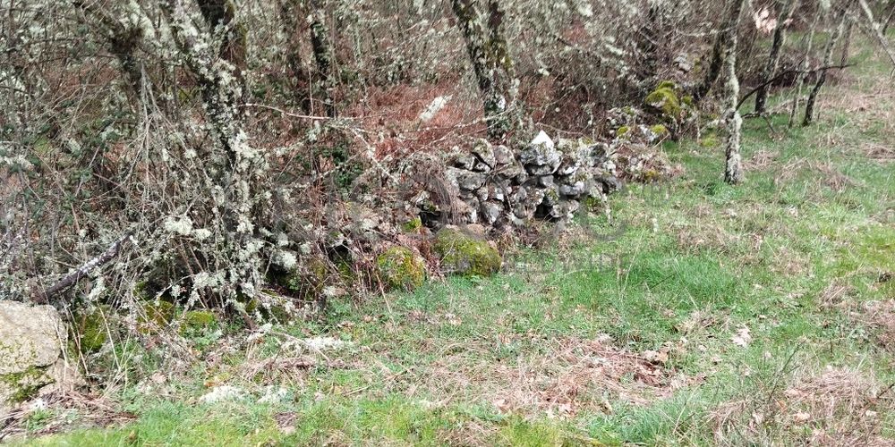 Proporção de 1/2 de Terreno · Aldeia Velha, Sabugal