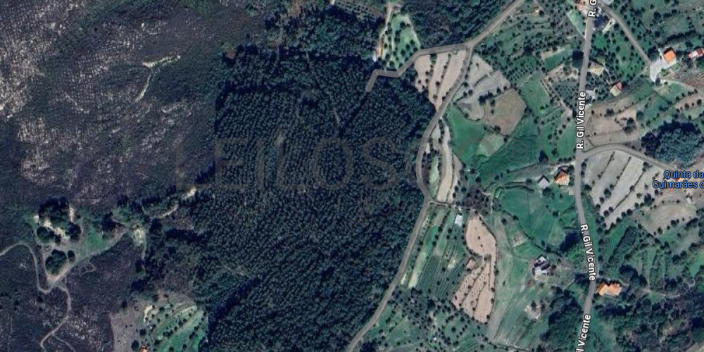 Terreno com 8.750 m² · Mangualde