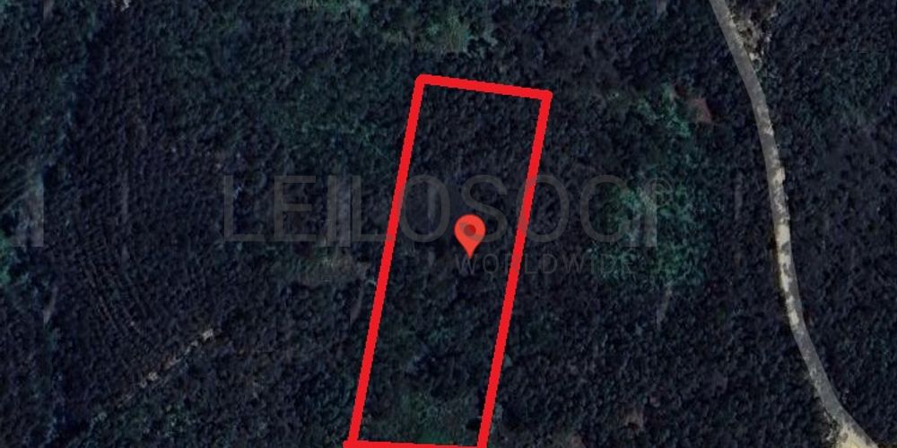 Proporção de 1/2 de Terreno com 6.496 m² · Vila Nova de Poiares 5