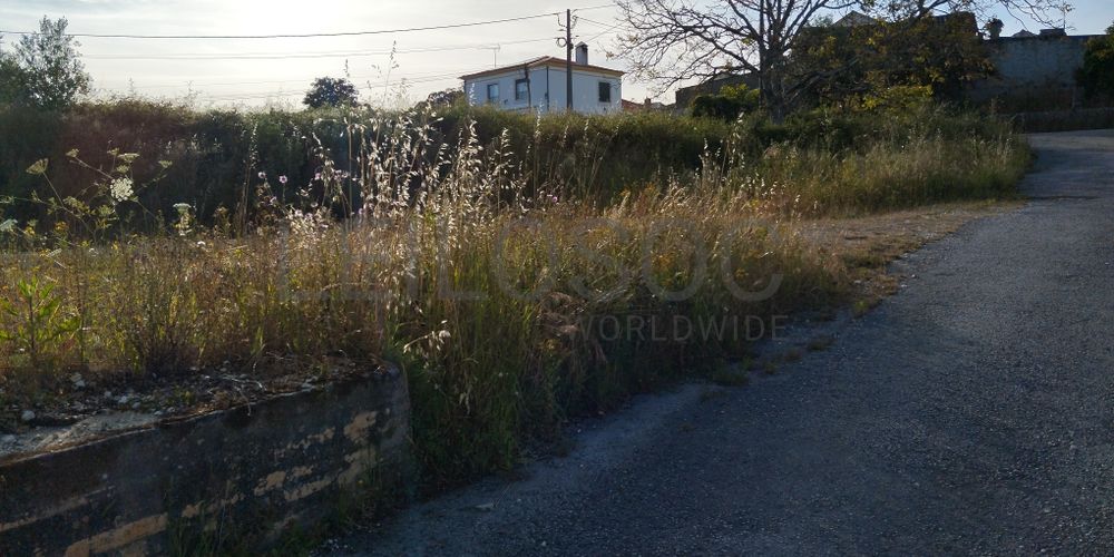 Terreno para Construção · Leiria 5