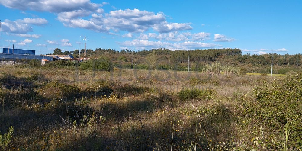 Lote para Construção · Chamusca, Santarém 2