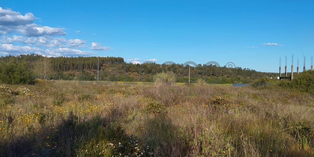 Lote para Construção · Chamusca, Santarém 3