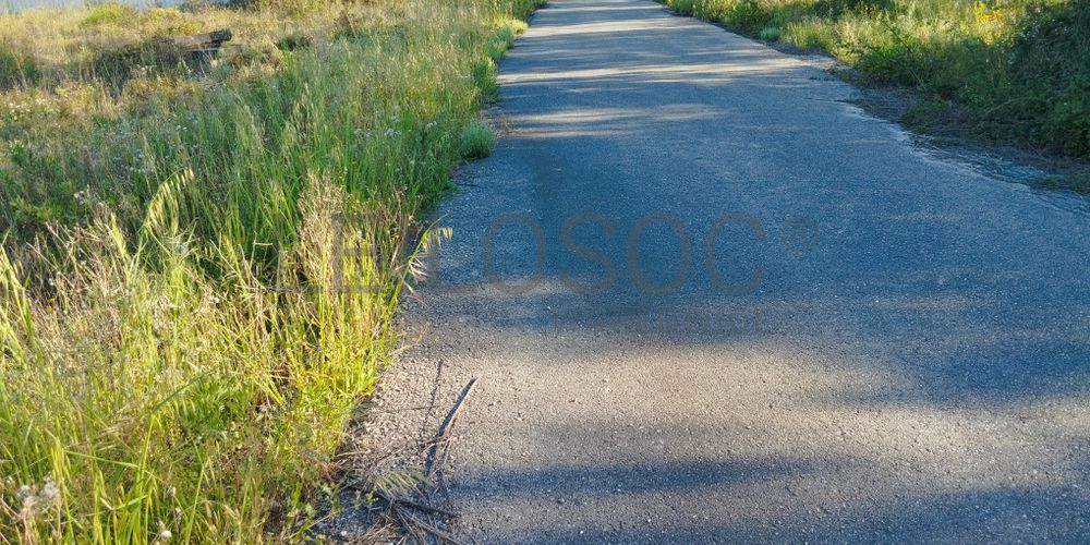 Lote para Construção · Chamusca, Santarém 5
