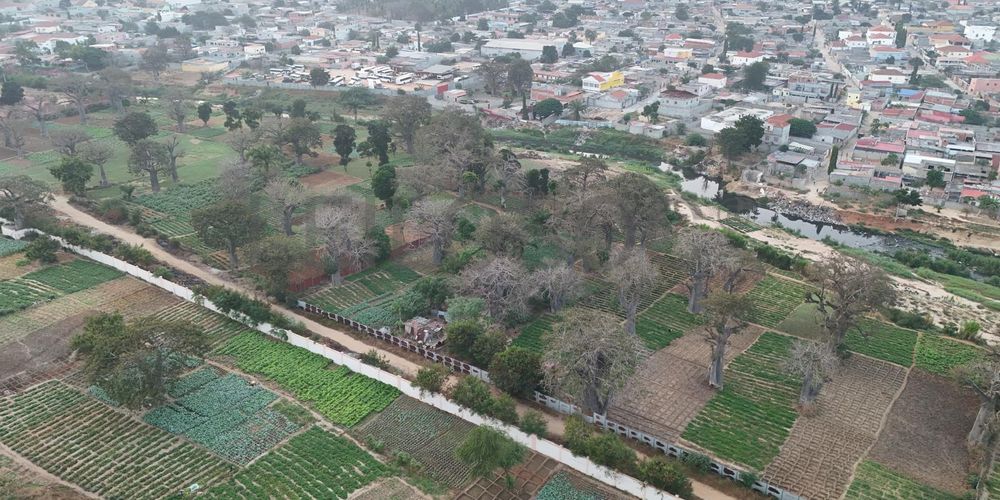 Talatona | Luanda | Terreno  | Localização Premium 5
