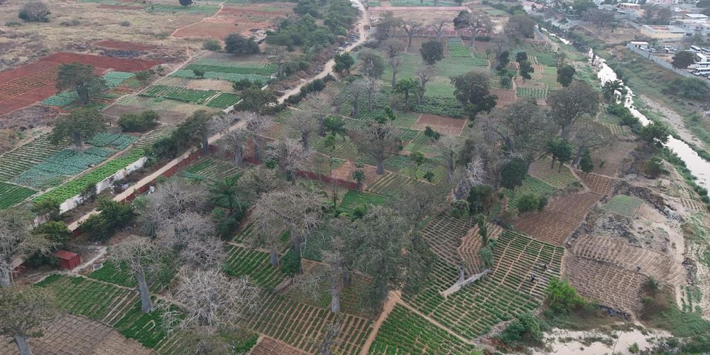 Talatona | Luanda | Terreno  | Localização Premium 6