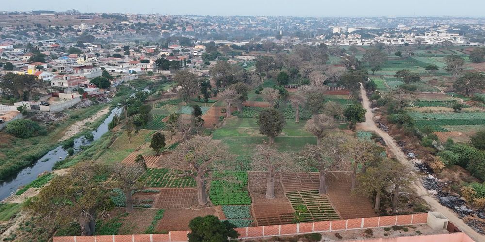 Talatona | Luanda | Terreno  | Localização Premium 2