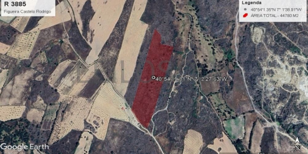 Terreno com +4 hectares · Figueira de Castelo Rodrigo 8