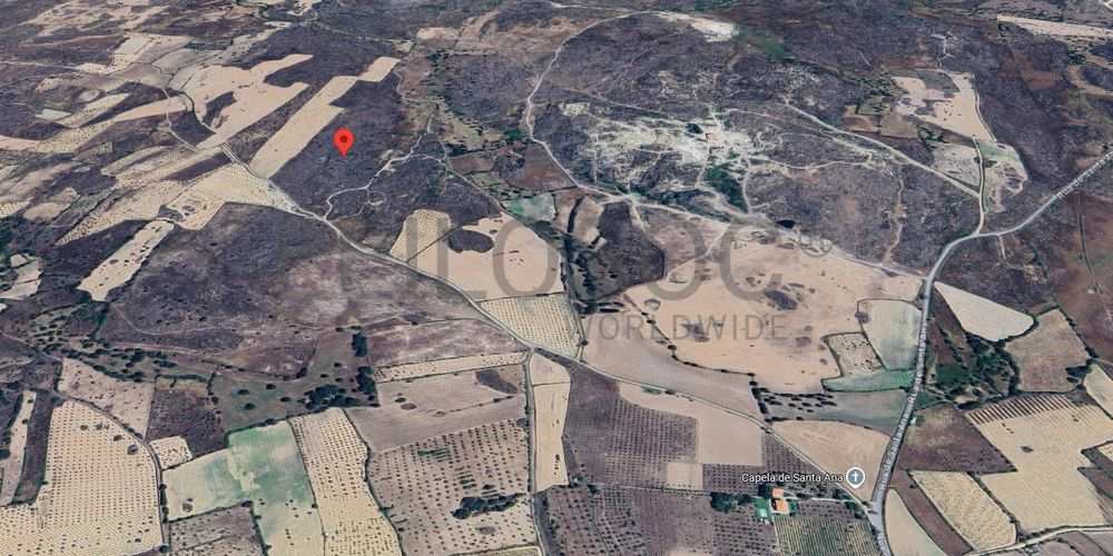 Terreno com +4 hectares · Figueira de Castelo Rodrigo 7