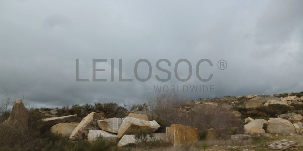 Terreno com +4 hectares · Figueira de Castelo Rodrigo 6