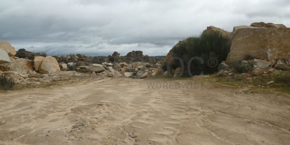 Terreno com +4 hectares · Figueira de Castelo Rodrigo 5