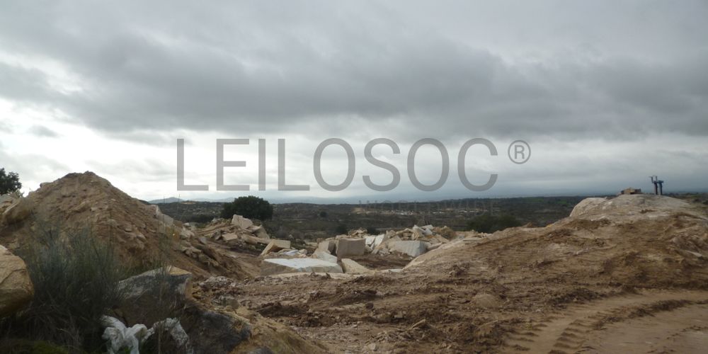 Terreno com +4 hectares · Figueira de Castelo Rodrigo 3
