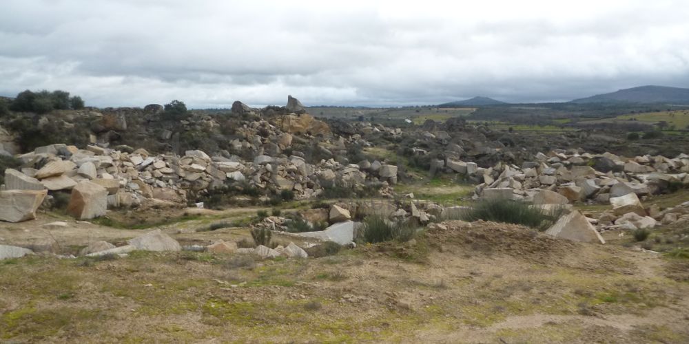 Terreno com +4 hectares · Figueira de Castelo Rodrigo