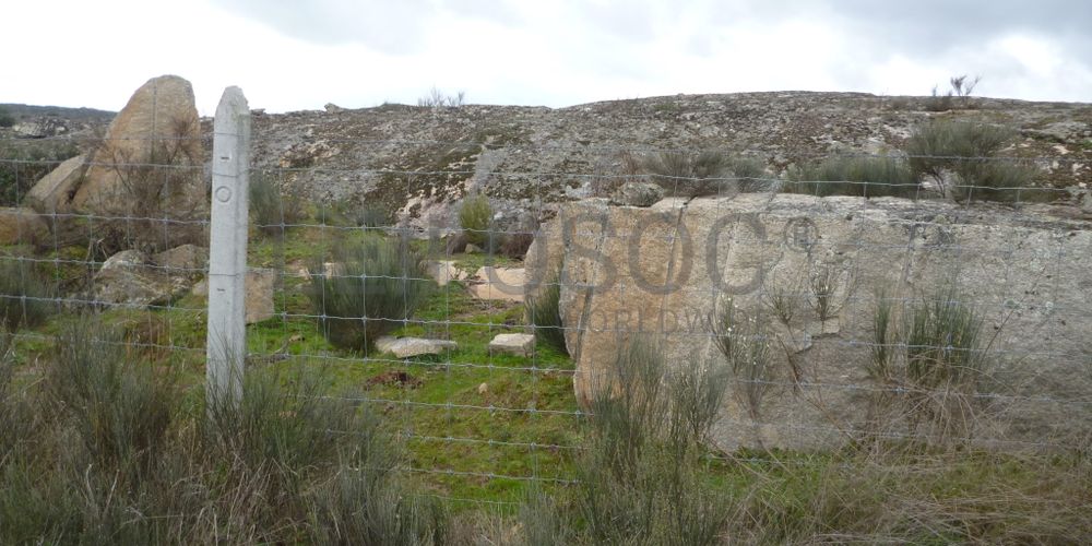 Terreno com +29 hectares · Figueira de Castelo Rodrigo 7