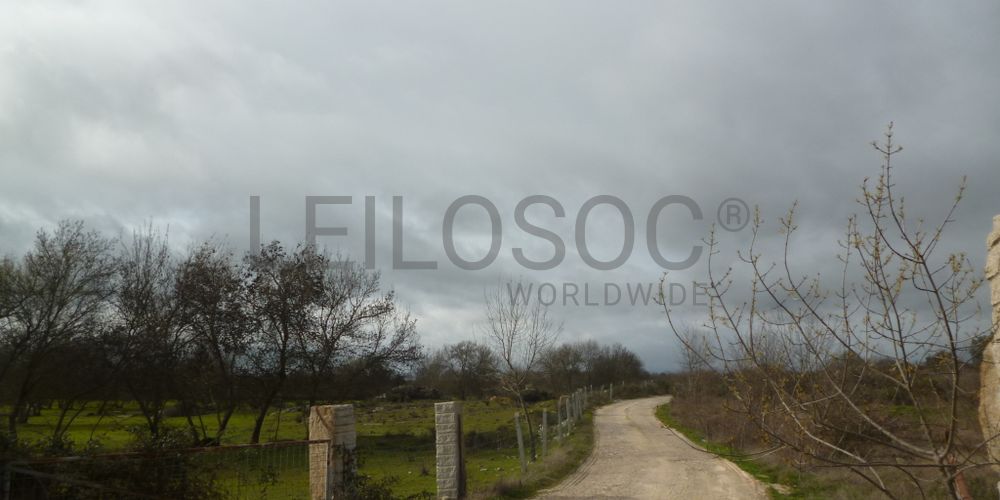 Terreno com +29 hectares · Figueira de Castelo Rodrigo