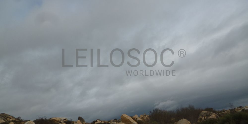 Terreno com +29 hectares · Figueira de Castelo Rodrigo 8