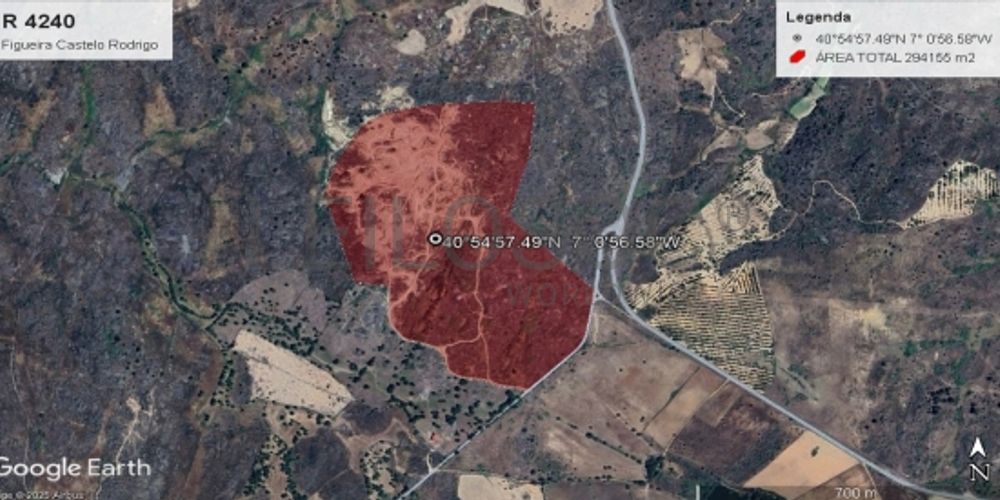 Terreno com +29 hectares · Figueira de Castelo Rodrigo 10