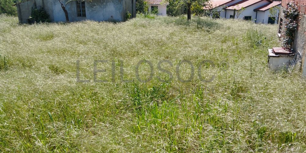 Quinhão Hereditário · Arganil 9