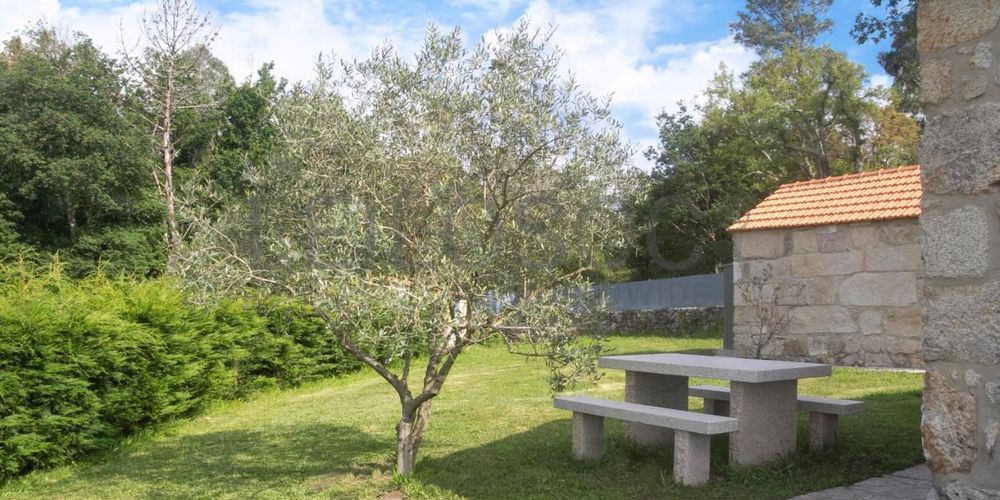 Quinta “Casas d’Oliva” · Caramulo 4