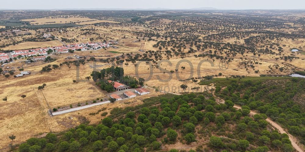 Herdade do Topo · "Monte da Janeila" · 210 hectares · Serpa 5