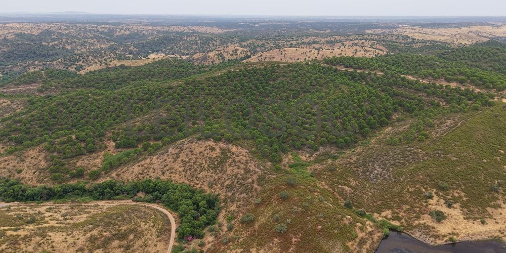 Herdade do Topo · "Monte da Janeila" · 210 hectares · Serpa