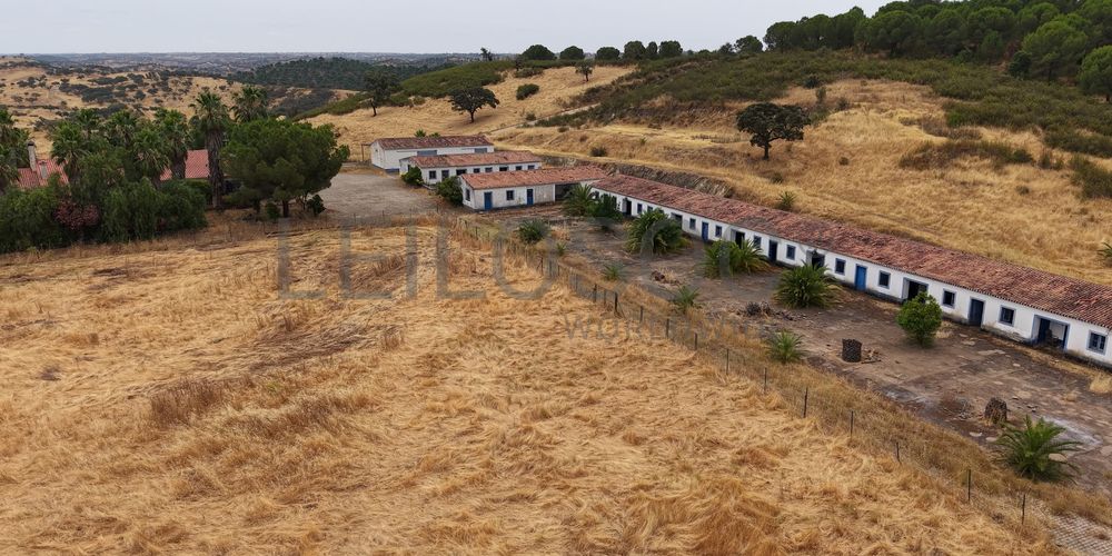 Herdade do Topo · "Monte da Janeila" · 210 hectares · Serpa 15
