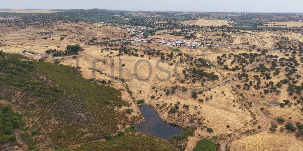 Herdade do Topo · "Monte da Janeila" · 210 hectares · Serpa 3