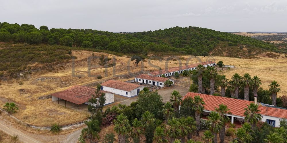 Herdade do Topo · "Monte da Janeila" · 210 hectares · Serpa 12