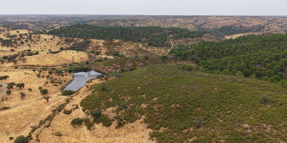 Herdade do Topo · "Monte da Janeila" · 210 hectares · Serpa 18