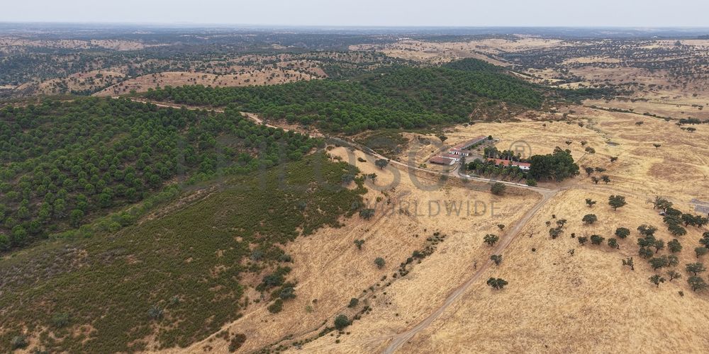 Herdade do Topo · "Monte da Janeila" · 210 hectares · Serpa 17