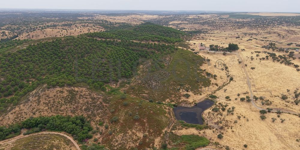 Herdade do Topo · "Monte da Janeila" · 210 hectares · Serpa 2