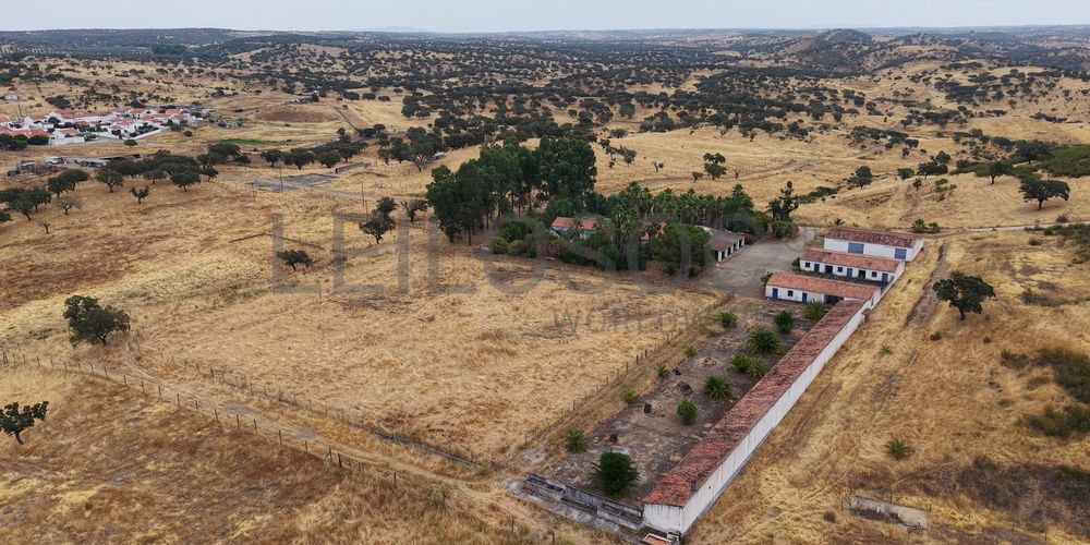 Herdade do Topo · "Monte da Janeila" · 210 hectares · Serpa 6
