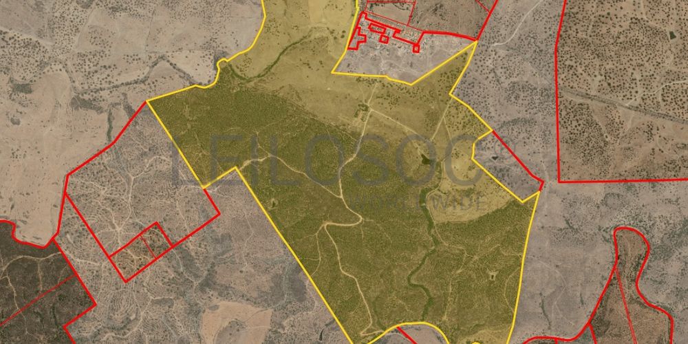 Herdade do Topo · "Monte da Janeila" · 210 hectares · Serpa 20