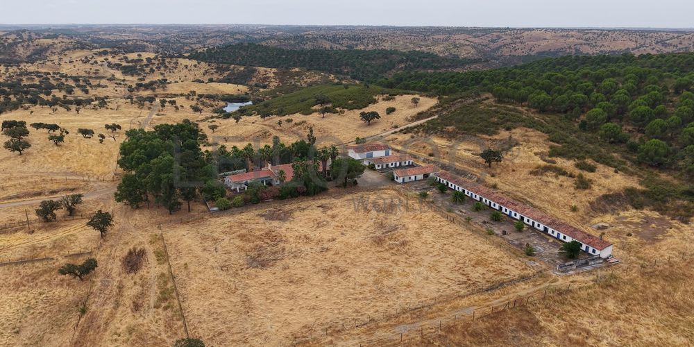 Herdade do Topo · "Monte da Janeila" · 210 hectares · Serpa 7