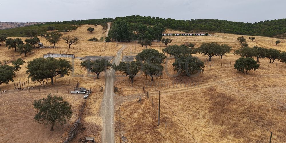 Herdade do Topo · "Monte da Janeila" · 210 hectares · Serpa 10