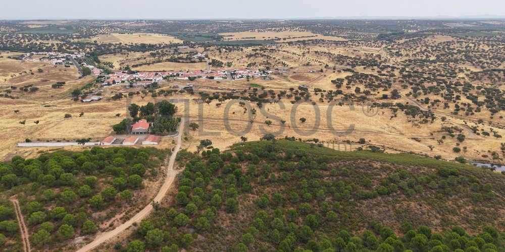 Herdade do Topo · "Monte da Janeila" · 210 hectares · Serpa 4