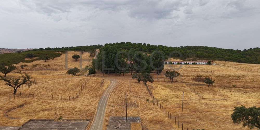 Herdade do Topo · "Monte da Janeila" · 210 hectares · Serpa 11