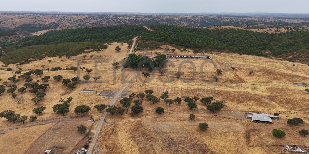 Herdade do Topo · "Monte da Janeila" · 210 hectares · Serpa 9