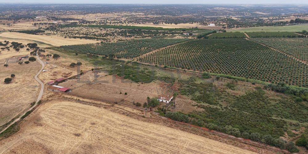 Herdade do Topo · "Monte Junqueira" · 7,4 hectares · Serpa  5