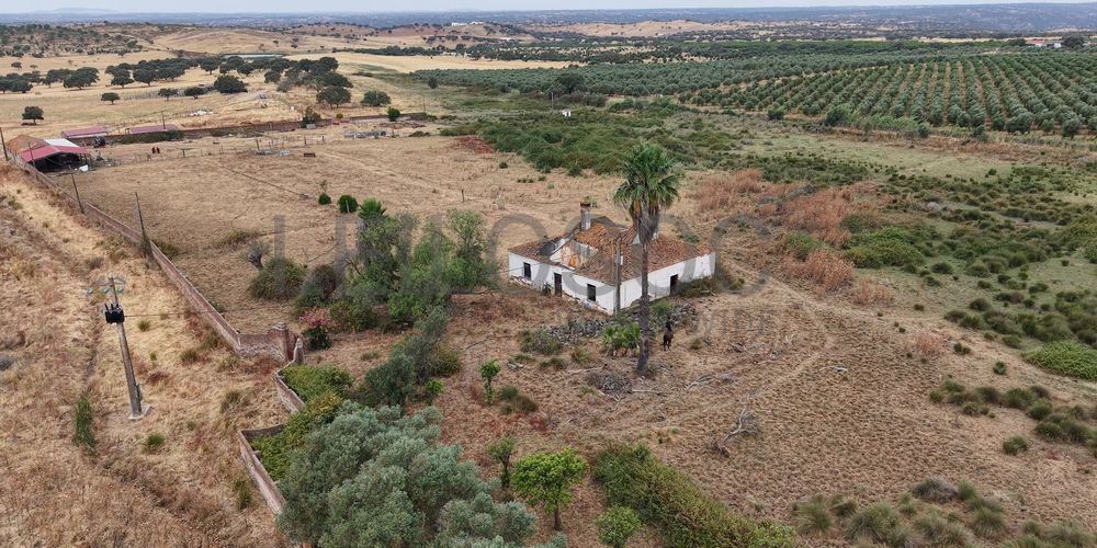 Herdade do Topo · "Monte Junqueira" · 7,4 hectares · Serpa  7