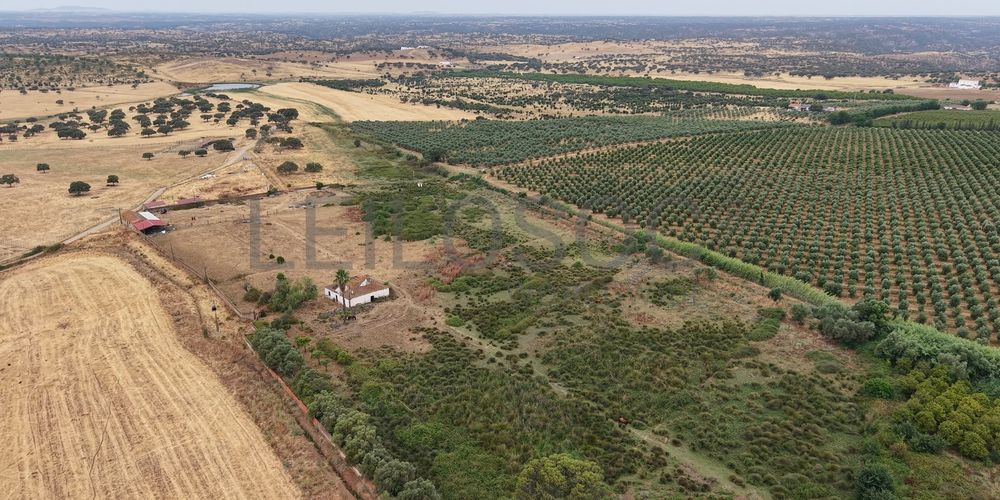 Herdade do Topo · "Monte Junqueira" · 7,4 hectares · Serpa  6