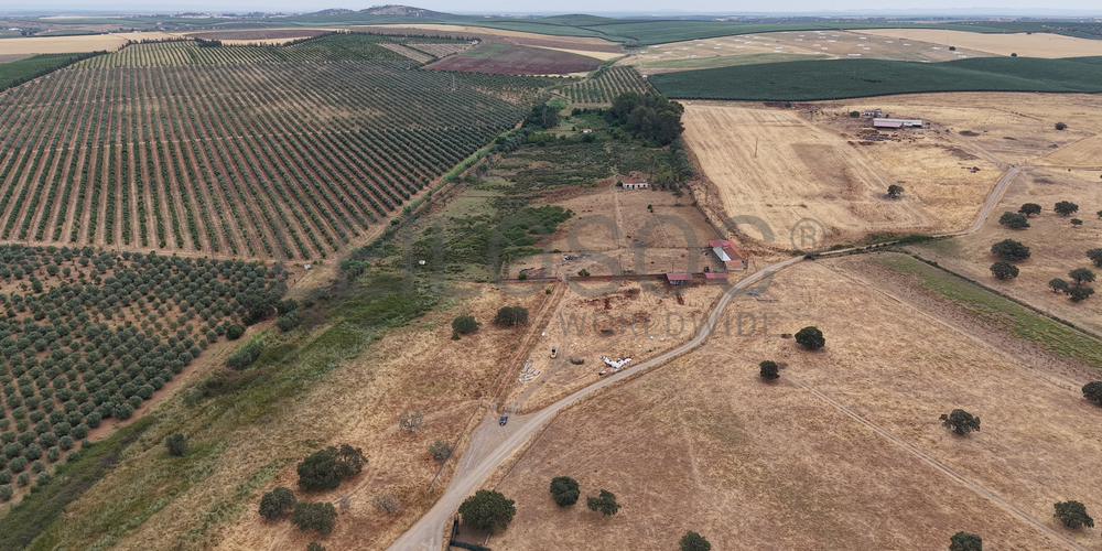 Herdade do Topo · "Monte Junqueira" · 7,4 hectares · Serpa  4