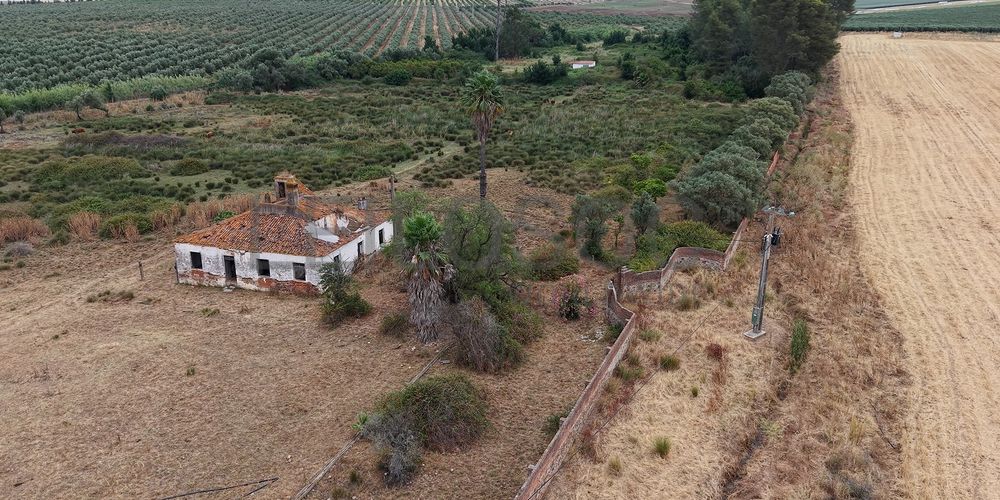 Herdade do Topo · Montes da Janeila e Junqueira · Serpa 12