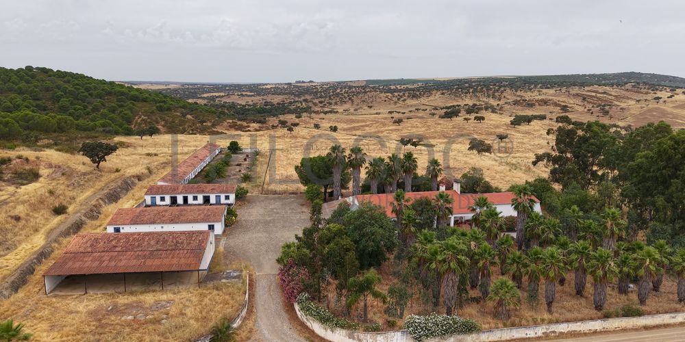 Herdade do Topo · Montes da Janeila e Junqueira · Serpa 5
