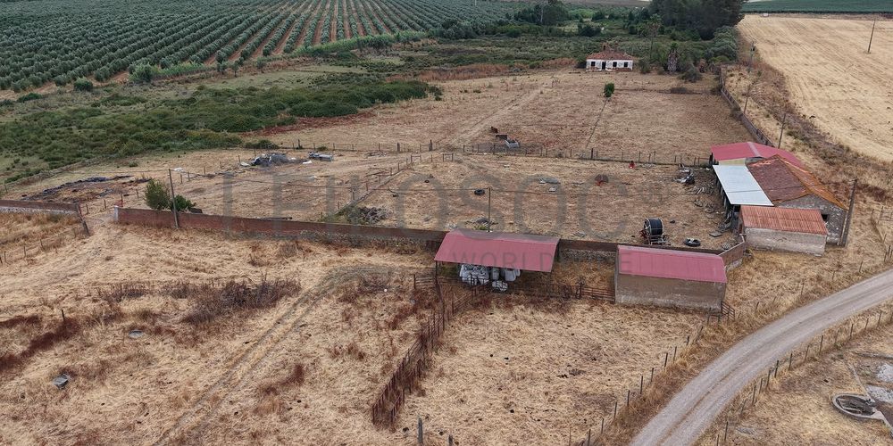 Herdade do Topo · Montes da Janeila e Junqueira · Serpa 13