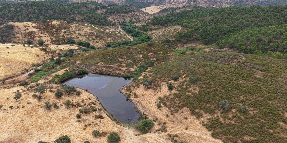 Herdade do Topo · Montes da Janeila e Junqueira · Serpa 8